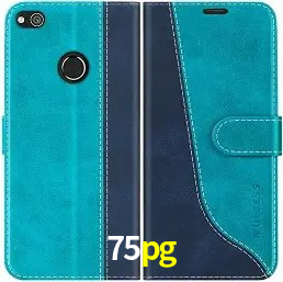 Descubra o Programa VIP da 75pg: Vantagens Exclusivas para Jogadores